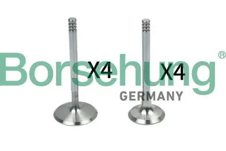 Клапан (впуск/випуск) Skoda Octavia I 1.6/2.0 97-07 (к-кт 8шт.) Borsehung B18148