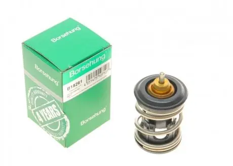 Термостат 1.0/1.2/1.4TSI 12-(86°C) Borsehung B18261