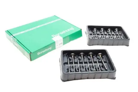 Клапана к-кт 8*8 (04L109601H+04L109611 Borsehung B18633