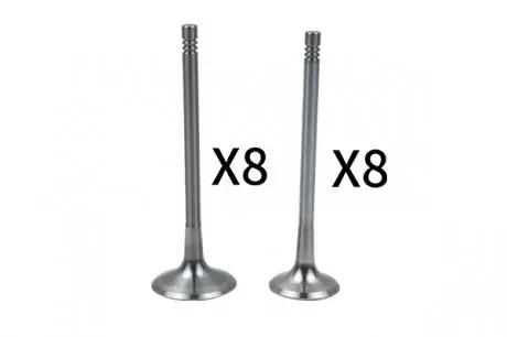 Комплект клапанов (16 шт) 06d109601k+06d109611l Borsehung B18634