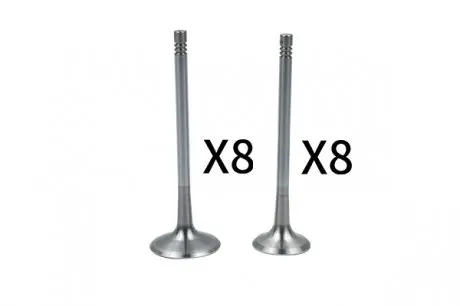 Комплект клапанов (+06D109601M) 8x8, Borsehung B18637