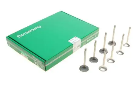 Клапан (впуск/випуск) VW T5 1.9/2.5TDI (к-кт) Borsehung B18640