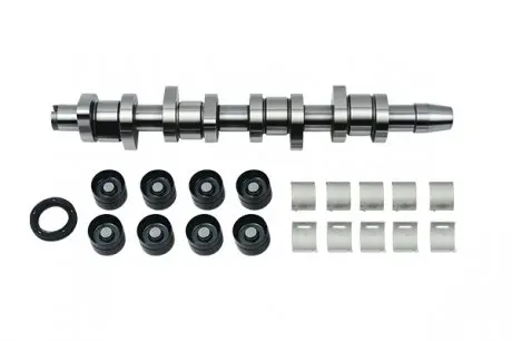 Ремонтный комплект (распредвал, вкладыши, гидрокомпенсаторы, сальник) Borsehung B18664