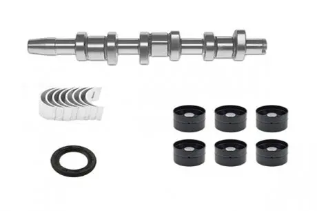 Комплект распредвала +038103673c +038103085c +038109309c Borsehung B18665