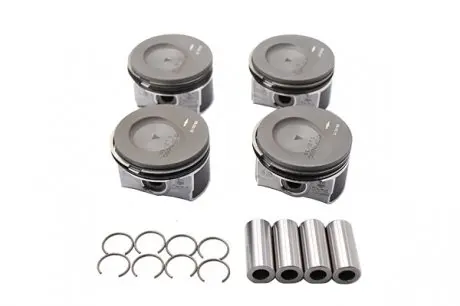 Поршень к-кт(4шт) (oe) Borsehung B18740