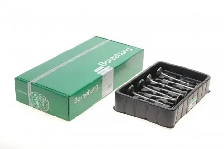 Клапан (впуск/випуск) VW Caddy 1.6TDI/2.0TDI 03- (к-кт 8шт.) (OE VAG) Borsehung B18766