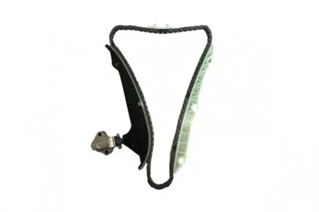 Комплект цепи ГРМ Borsehung B18778