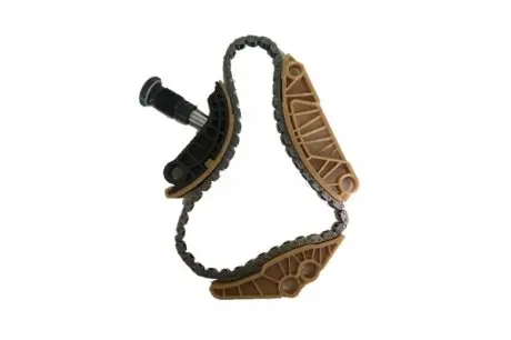 Комплект цепи ГРМ +06h109158n, Borsehung B18779