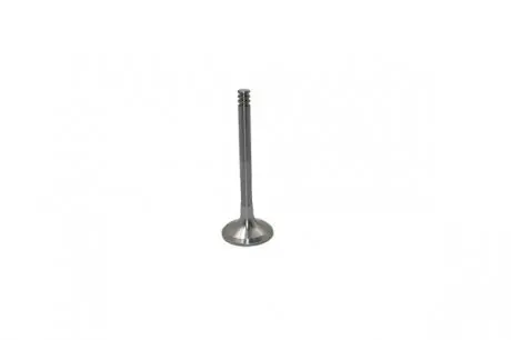 Клапан вакуумный Borsehung B19012