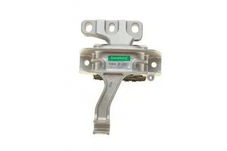 Подушка двигуна права Borsehung B19099