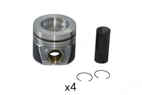 Поршень к-кт (4шт) OE Borsehung B19302