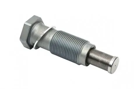 Натяжник ланцюга грм (oe) Borsehung B1T012