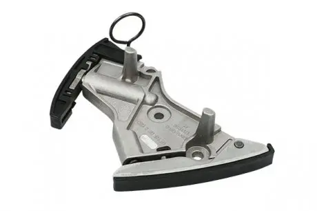 Натяжник ланцюга (oe) Borsehung B1T018