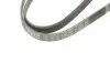 Поликлиновой ремень BOSCH 1987946022 (0K55315987, OK55315987, 028903137AI) (фото 5)