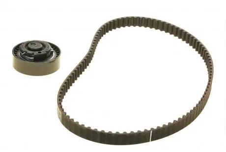 Комплект ГРМ Renault Kangoo/Dacia Dokker/Lodgy/Logan/Sandero 1.4/1.6i 04- (17.3x96z) BOSCH 1987946524