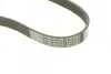 Поликлиновой ремень BOSCH 1987948486 (037903137F, 037903137C, 60625590) (фото 4)