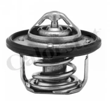 Термостат Calorstat by Vernet 7084.82