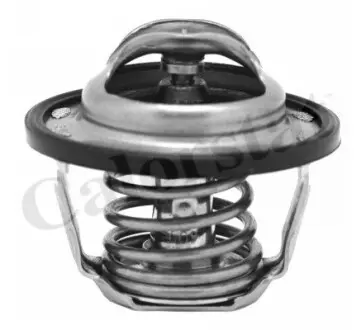 Термостат opel astra g/insignia/vectra b,c 2.0/2.2i 00- (82c) Calorstat by Vernet TH6883.82J