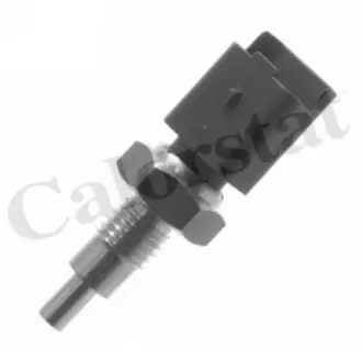 Датчик температуры жидкости Calorstat by Vernet WS2693