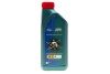 Моторное масло 5W-30 Magnatec Professional Ford A5 (1L) CASTROL 15F60E (фото 1)