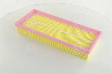 Фільтр повітряний CHAMPION CAF100738P