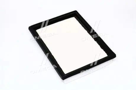 Фильтр воздушный ford /u810 CHAMPION CAF100810P