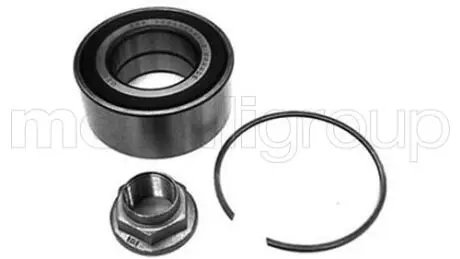 LAND ROVER підшипник передній маточини 75 99-, FREELANDER 98-. CIFAM 619-2304