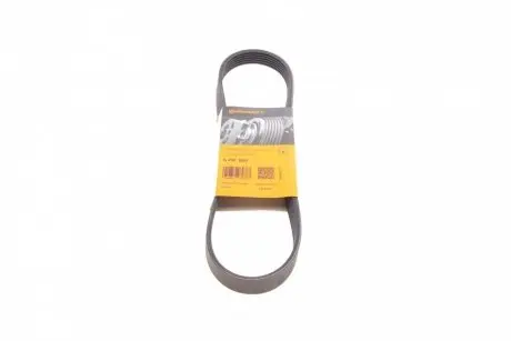 Ручейковый ремень CONTITECH 6PK800