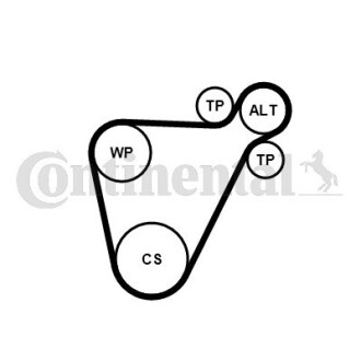 Комплект ГРМ CONTITECH 8PK954EXTRAK1