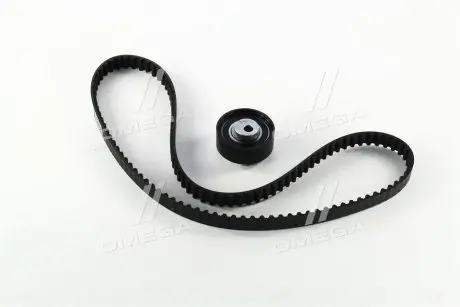 Ременной комплект грм CONTITECH CT1164K1