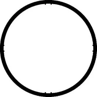 Прокладка коллектора CORTECO 026238H