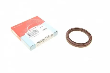 Сальник коленвала CORTECO 19035013B