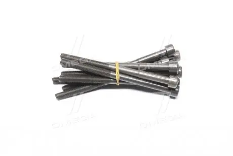 Комплект болтов головки цилидра toyota 2,4 wti 1az/2az CORTECO 49362930