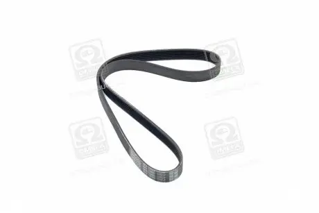 Ремень поликлиновый DAYCO 6PK1005