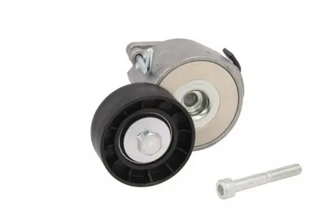 Натяжитель ремня DAYCO APV1088