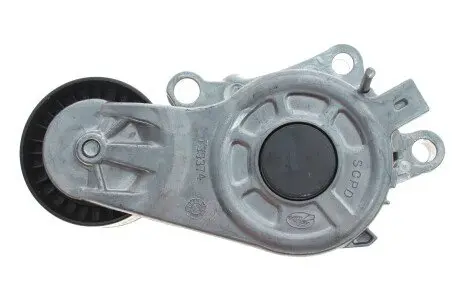 Натяжитель ремня DAYCO APV3797