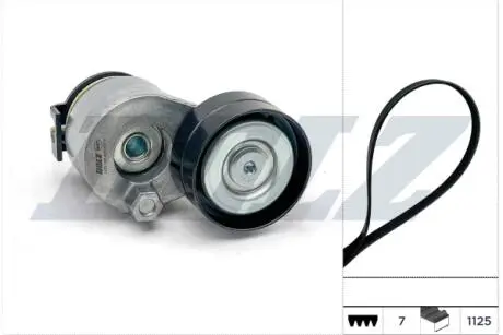 RENAULT ремінь ГРМ + натягувач DUSTER 2.0 12-, RENAULT GRAND SCENIC II 1.9 dCi 05-09, MEGANE II / III DOLZ SKD207A