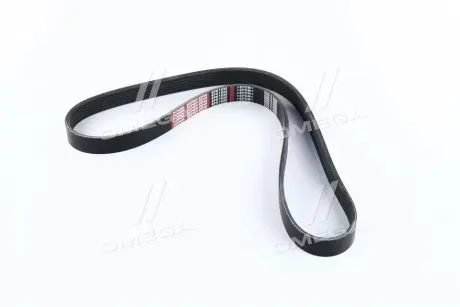 Ремінь поліклиновий Dongil 6PK1030