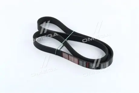Ремінь поліклиновий Dongil 6PK1130
