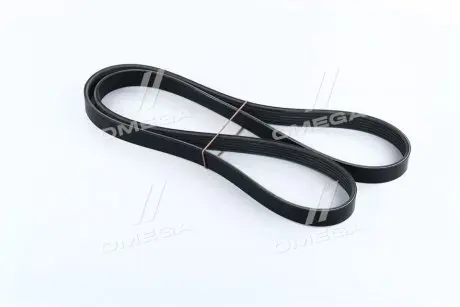 Ремень поликлиновый Dongil 6PK1570