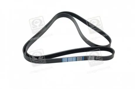 Ремень привода навесного оборудования Dongil 6PK2155