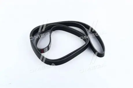 Ремень поликлиновый Dongil 6PK2255