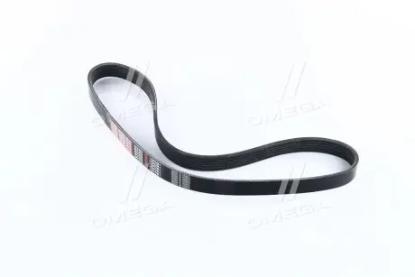 Ремень привода навесного оборудования Dongil 6PK923