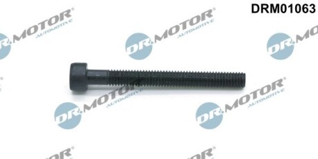 Болт з фігурною головкою DR. MOTOR DRM01063 (фото 1)