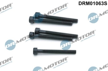 Комплект болтів двигуна з фігурною головкою DR. MOTOR DRM01063S