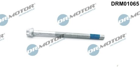 Болт з фігурною головкою DR. MOTOR DRM01065