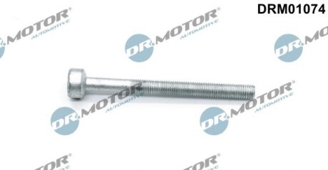 Болт з фігурною головкою DR. MOTOR DRM01074