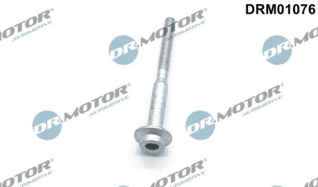 Болт з фігурною головкою DR. MOTOR DRM01076 (фото 1)