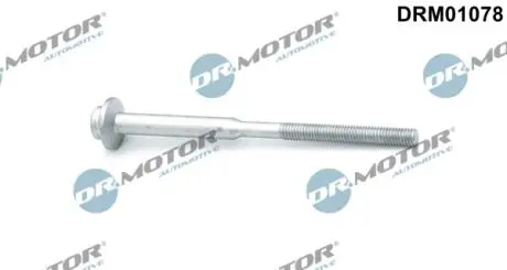 Болт з фігурною головкою DR. MOTOR DRM01078
