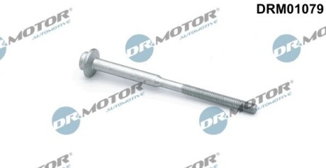 Болт з фігурною головкою DR. MOTOR DRM01079